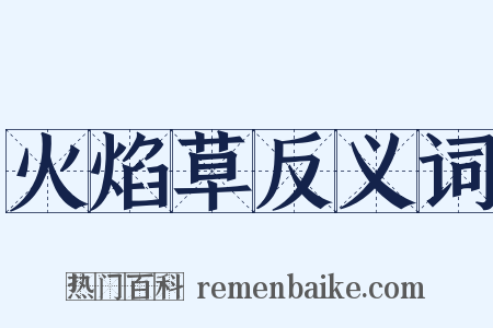 火焰草反义词是什么意思的图片